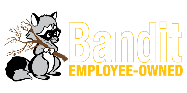BANDIT — логотип